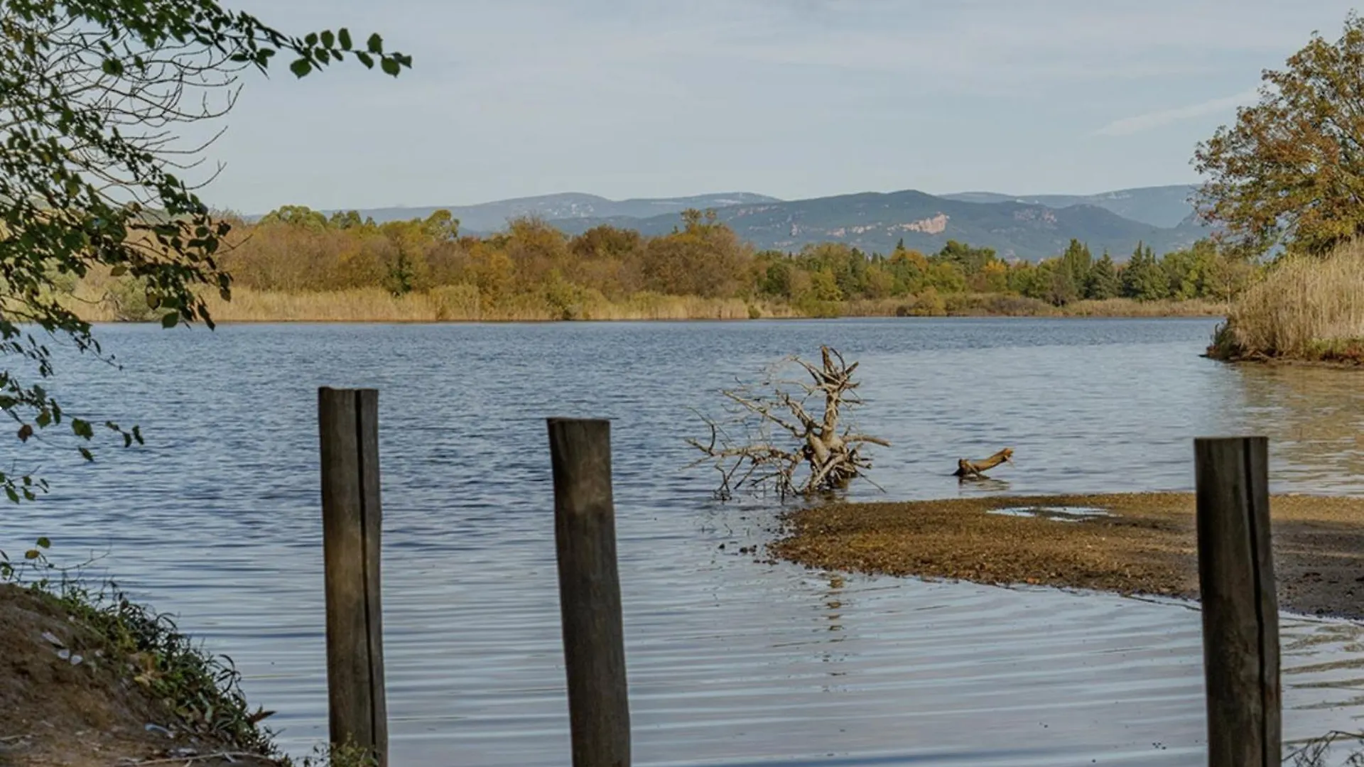 Holiday park Logis De L'Etangs